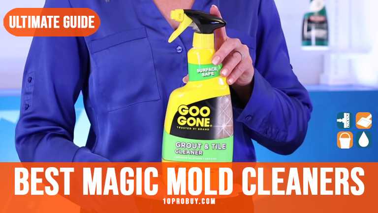 Best Magic Mold Cleaners