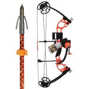 Best Bow-Fishing Bow