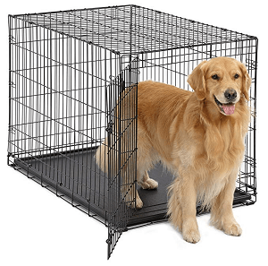 Best Dog Crates